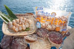 青森名産　むつ湾産冷凍ベビーホタテ1kg