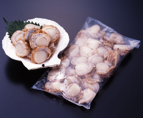 ほたて屋カツマル 漁師直送便の青森県陸奥湾産ほたて 青森名産 むつ湾産冷凍ボイルホタテ 10 ほたて屋カツマル 漁師直送便の青森県陸奥湾産ほたて 青森名産 むつ湾産冷凍ボイルホタテ 10